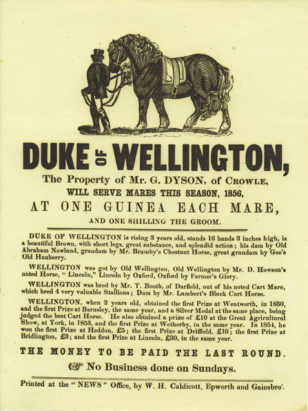 Duke of Wellington 1856